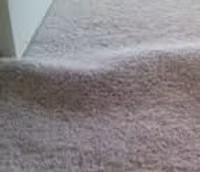 Loose Edges