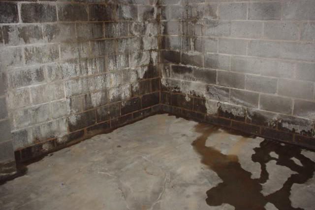 Basement Water